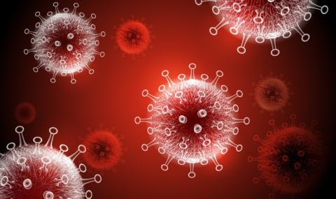 Учен откри слабото място на новия коронавирус - 1
