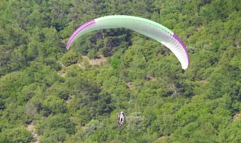 Спасители свалиха парапланерист от дърво в Кюстендилско - 1