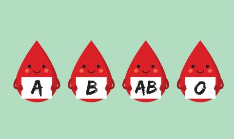 Кръвната група показва що за човек сте и как да се храните - 1