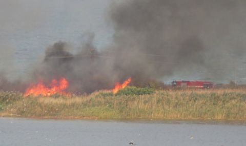 Пожар избухна край Атанасовското езеро в Бургас - 1