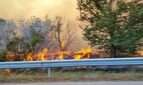 Мъж нарочно предизвика пожар, дразнел се на сухите треви - 1