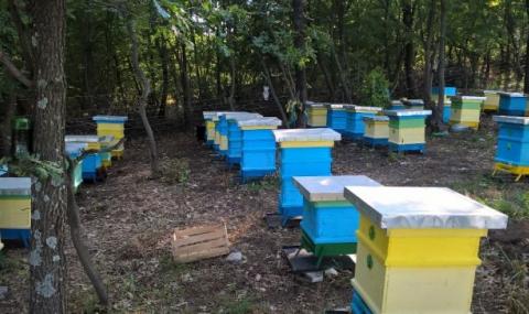 Огнеборци спасиха 100 пчелни кошери от пожар в плевенско село - 1