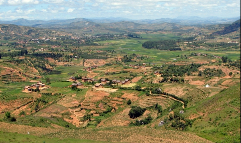 Мадагаскарски селяни убиха близо 100 крадци на добитък - 1