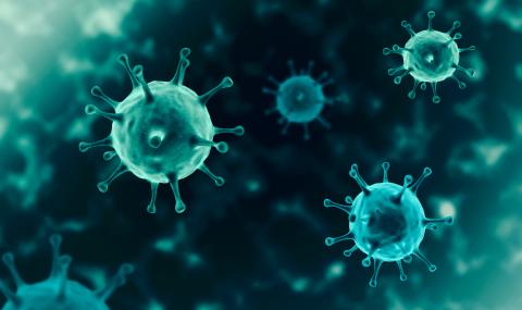 Новият коронавирус може да оцелее до 28 дни - 1