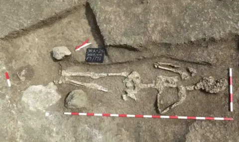 Откриха скелет на гигант край Дебелт