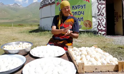 Казахстан е основен вносител на млечни продукти от Русия - 1