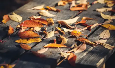 Времето днес, прогноза за понеделник, 5 януари: Облачно начало на първата работна седмица. На места ще превалява