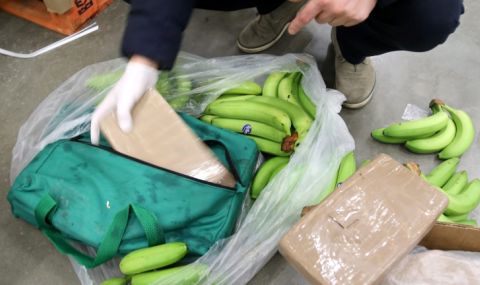 Рекорд в Испания: Хванаха 9,5 тона кокаин в пратка банани от Еквадор - 1