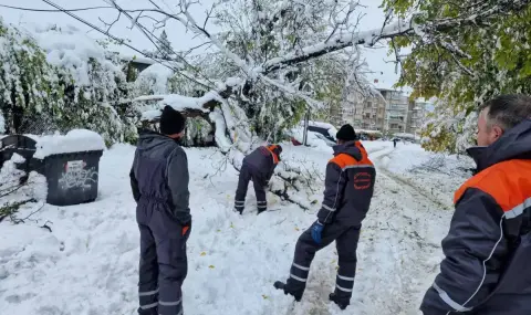 Васил Терзиев: 758 тона клони и дървен материал са извозени след снеговалежа - 1
