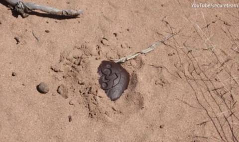 Странен камък от Розуел пощури феновете на НЛО (ВИДЕО) - 1