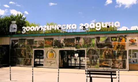 Бебе от критично застрашен вид се роди в Софийския зоопарк (СНИМКИ) - 1