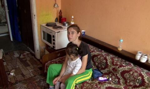 Мизерия, мухъл и бълхи в приюта за бездомни във Варна - 1