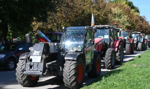 Зърнопроизводители блокират пътищата към Румъния заради вноса от Украйна - 1