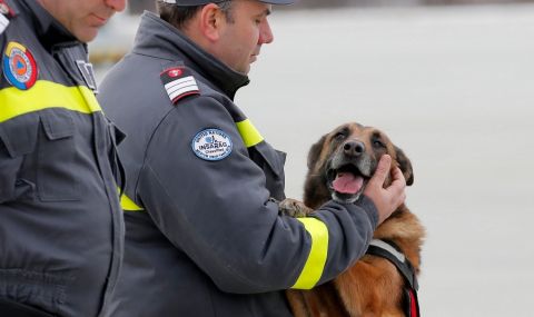 Кучета спасители от Румъния са изпратени в Турция - 1