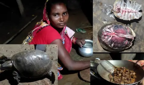 Отровно месо от морски костенурки уби 8 деца в Танзания