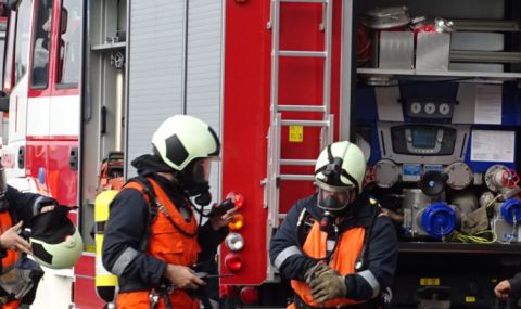 В Плевенско са спасени от пожари над 500 декара с царевица и слънчоглед - 1