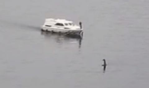 Чудовището от Лох Нес пак се появи (ВИДЕО) - 1