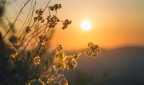 Weather today, forecast for Sunday, June 15: Sunny, cumulus clouds in the afternoon  - 1