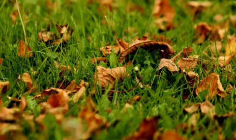 Слънчева и топла неделя - 1