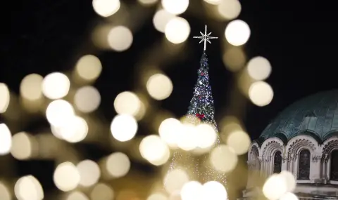 Sofia also shone with the Sofia Christmas Tree  - 1