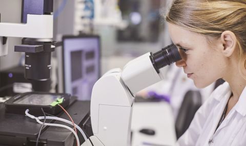 63% от българите вярват, че иновациите и науката могат да изиграят роля за намаляване на тютюнопушенето - 1