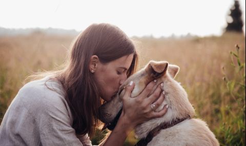 Куче падна от 30 метра и оцеля  - 1