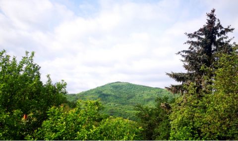 Слънчева сряда - 1