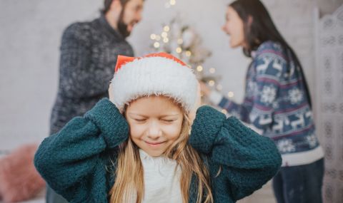 Психолог обясни на какво се дължат семейните конфликти по Коледа - 1