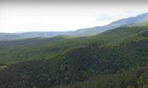 Пеевски се намеси в спора за гората на Црънча - 1