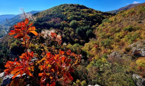 Ветровита събота - 1