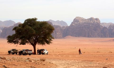 Как Саудитска Арабия накара и пустинята да цъфти - 1