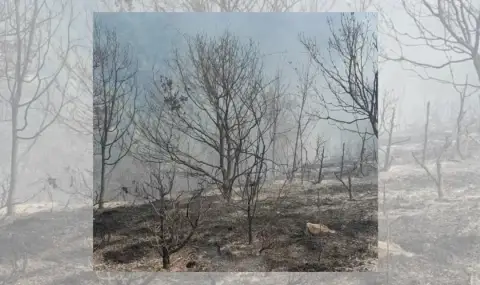 Овладяват огнената стихия край Благоевград и Хасково