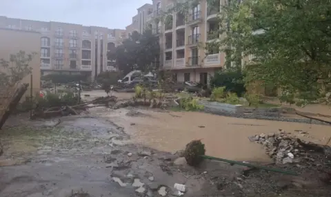 Алчност и безхаберие – добре дошли в дерето на „Елените“ - 1