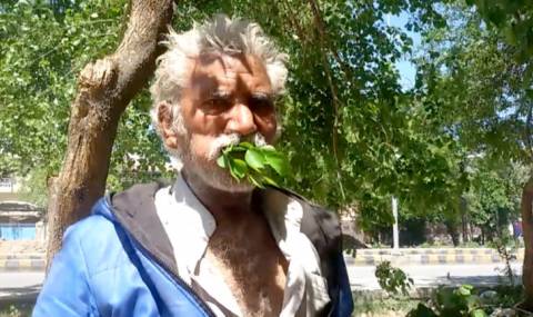 Мъж се храни с дървета от 25 години (ВИДЕО) - 1