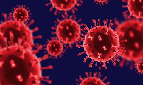Поне 90% от населението на света е развило имунитет срещу COVID-19 - 1