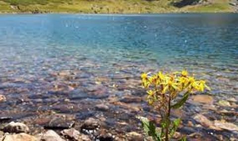 Слънчев и горещ четвъртък - 1