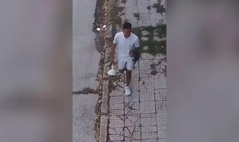 Брутално убийство на котка в Севлиево - 1