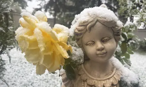 Българчетата през XXII век няма да знаят какво е сняг и зима - 1