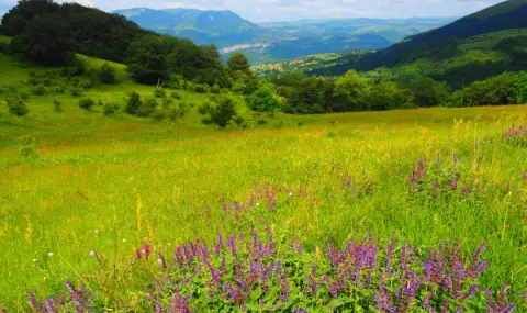 Времето днес, прогноза за четвъртък, 30 април: Облачно с повсеместни валежи от дъжд