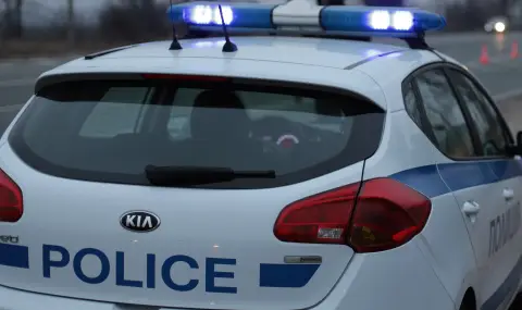 Съдът пусна от ареста шофьор, блъснал жена на пешеходна пътека, той избяга в Сърбия - 1