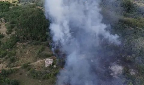 Потушен е пожарът край Боримечково - 1