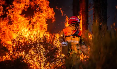 Moscow: Accusations against Russia for the fires in France are an insult to the locals - 1