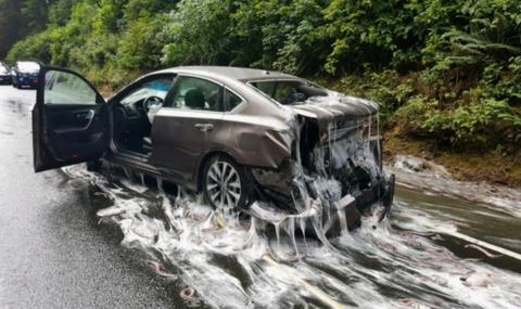 Зрелищно! Слуз и змиорки заляха магистрала (ВИДЕО) - 1