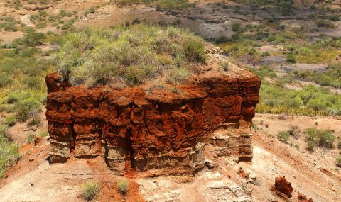 Археологическо откритие на 2 млн. години пренаписва историята на човечеството - 1