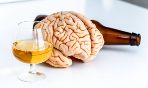 Алкохолът действа различно върху мозъците на мъжете и жените - 1