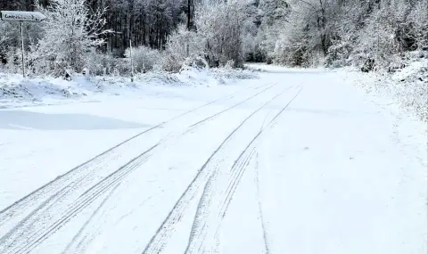 RIA: Drivers should travel prepared for winter conditions  - 1