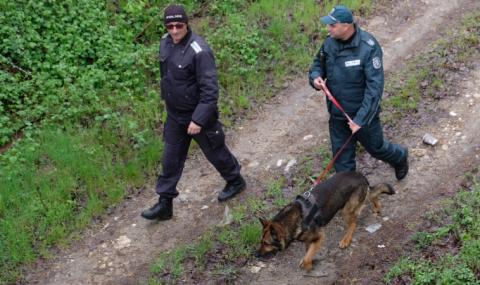 Откриха група нелегални мигранти в гора край София - 1