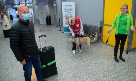 Куче разпознава заразени с коронавирус пътници - 1