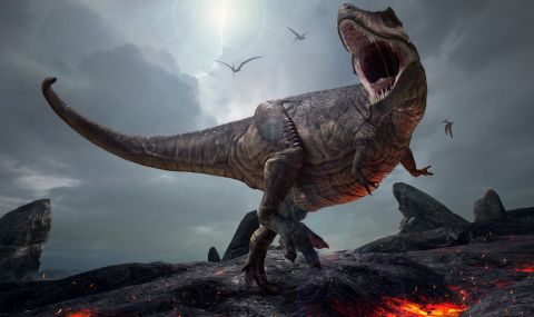 Учени: Прах е основната причина за гибелта на динозаврите - 1