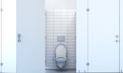 Опасно ли е да сядаме на тоалетната чиния в обществените тоалетни? - 1